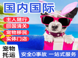 海西花土沟航空货运国际宠物托运 【国